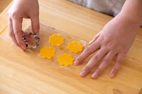圧縮済み_チキンのトマトクリームソース2