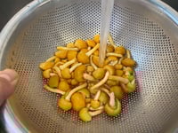 圧縮済み_IMG_5549-2