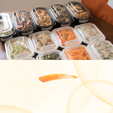 Meal Plan